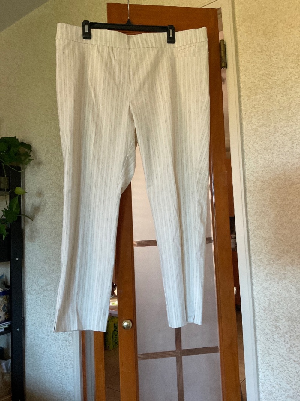 ANNE KLEIN Pull-On women’s pants